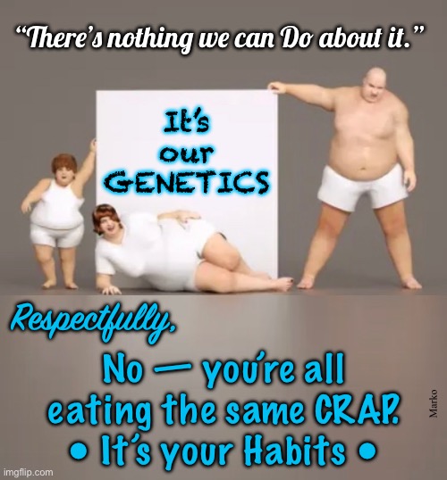 Do the same — Get the same | “There’s nothing we can Do about it.”; It’s
our
GENETICS; Respectfully, No — you’re all
eating the same CRAP.
• It’s your Habits •; Marko | image tagged in memes,healthy or not,you dont have to be what you dont want to be,become who you want to be,change what goes in n on | made w/ Imgflip meme maker
