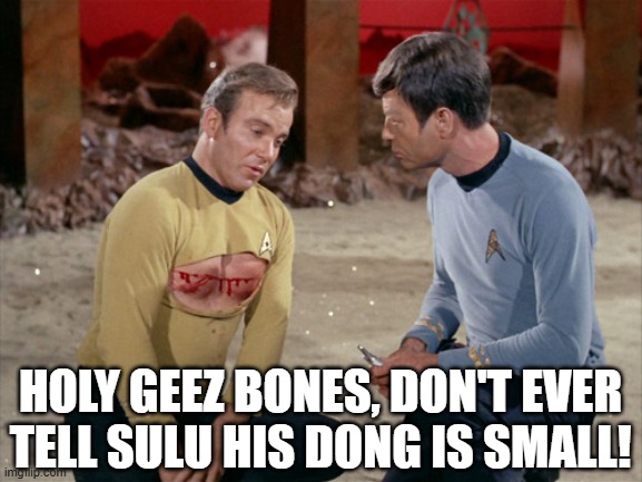 Insult Sulu | HOLY GEEZ BONES, DON'T EVER TELL SULU HIS DONG IS SMALL! | image tagged in star trek kirk bloody | made w/ Imgflip meme maker