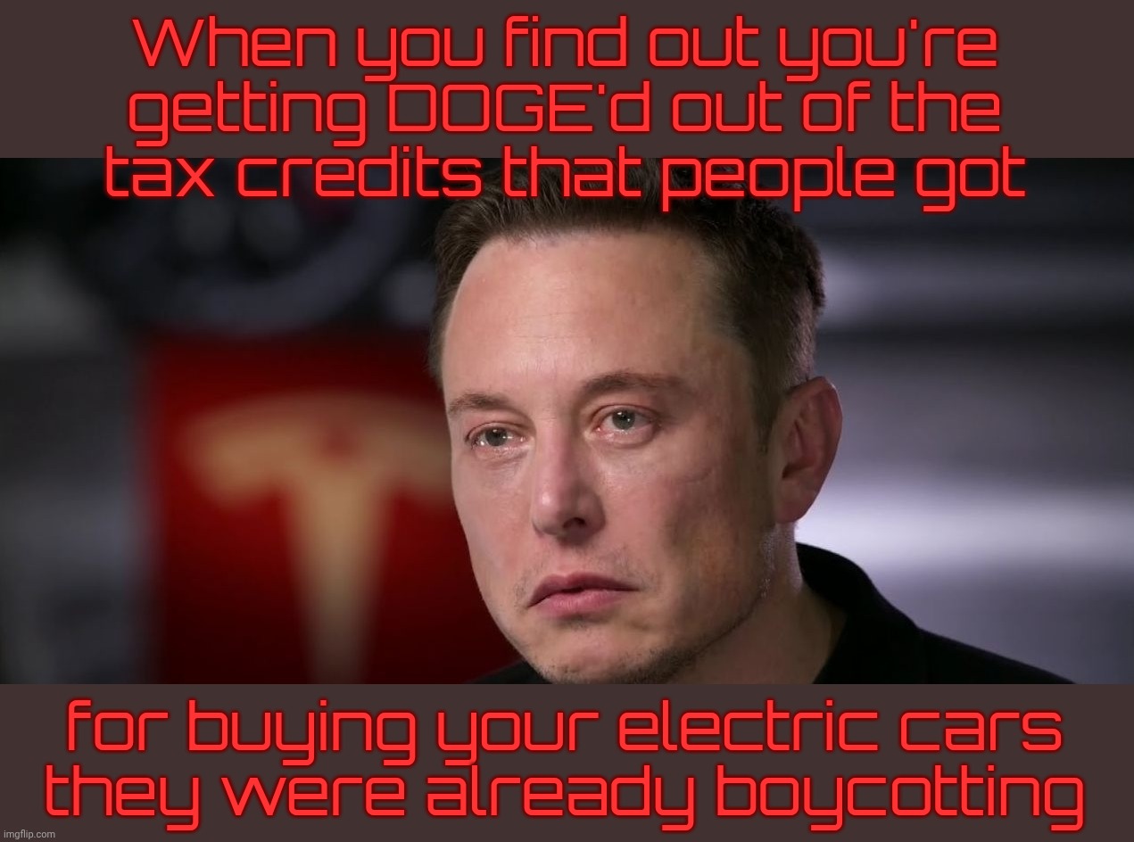 When you find out you're getting DOGE'd out of the
tax credits that people got for buying your electric cars
they were already boycotting | made w/ Imgflip meme maker