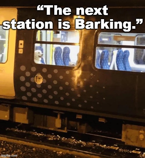 He's on the train to dugchappel | “The next station is Barking.” | image tagged in memes,scotland,dog,train | made w/ Imgflip meme maker