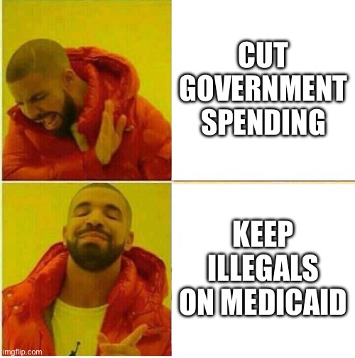 Democrats in Congress | CUT GOVERNMENT SPENDING; KEEP ILLEGALS ON MEDICAID | image tagged in drake hotline approves | made w/ Imgflip meme maker