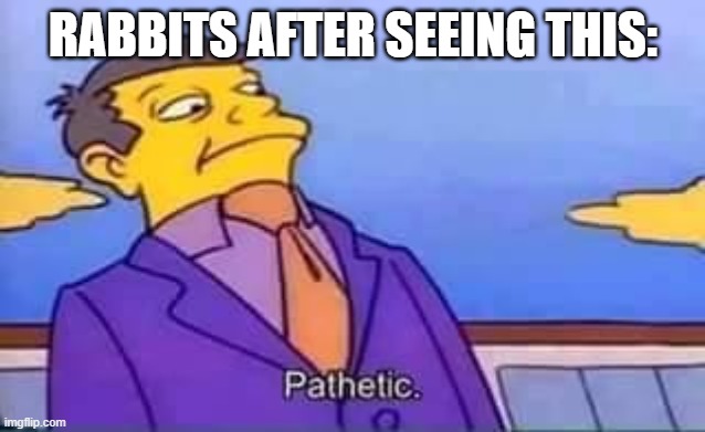 RABBITS AFTER SEEING THIS: | image tagged in skinner pathetic | made w/ Imgflip meme maker