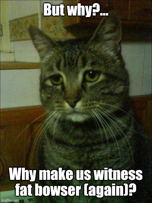 But why?… Why make us witness fat bowser (again)? | image tagged in memes,depressed cat | made w/ Imgflip meme maker