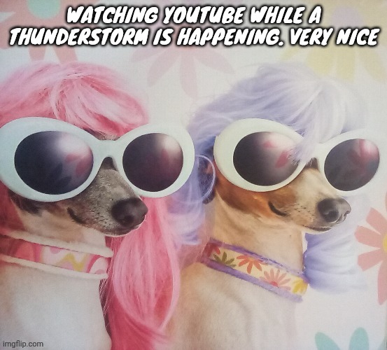Groovy dawgs | WATCHING YOUTUBE WHILE A THUNDERSTORM IS HAPPENING. VERY NICE | image tagged in groovy dawgs | made w/ Imgflip meme maker