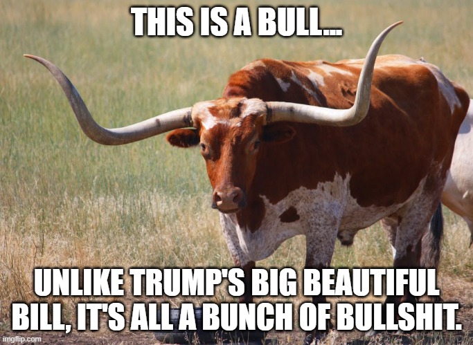 More Unwanted pork goodies have been put in the bill, without Americans Knowledge of it. | THIS IS A BULL... UNLIKE TRUMP'S BIG BEAUTIFUL BILL, IT'S ALL A BUNCH OF BULLSHIT. | image tagged in bull with big horns,congress,senate,bills,pork,trump | made w/ Imgflip meme maker
