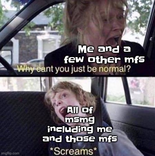 Why Can't You Just Be Normal | Me and a few other mfs; All of msmg including me and those mfs | image tagged in why can't you just be normal | made w/ Imgflip meme maker