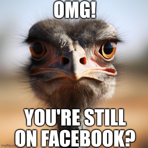 OMG You're Still On Facebook | OMG! YOU'RE STILL ON FACEBOOK? | image tagged in chris joines | made w/ Imgflip meme maker