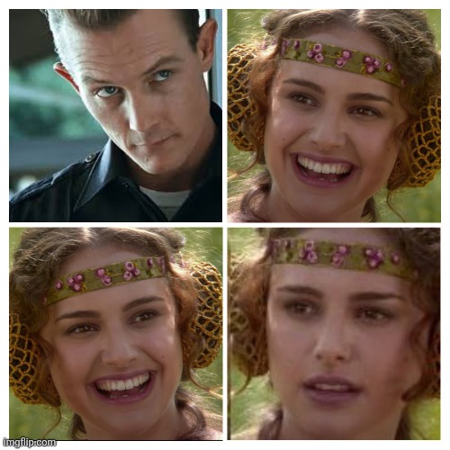 Have you seen this girl? | image tagged in terminator,star wars | made w/ Imgflip meme maker