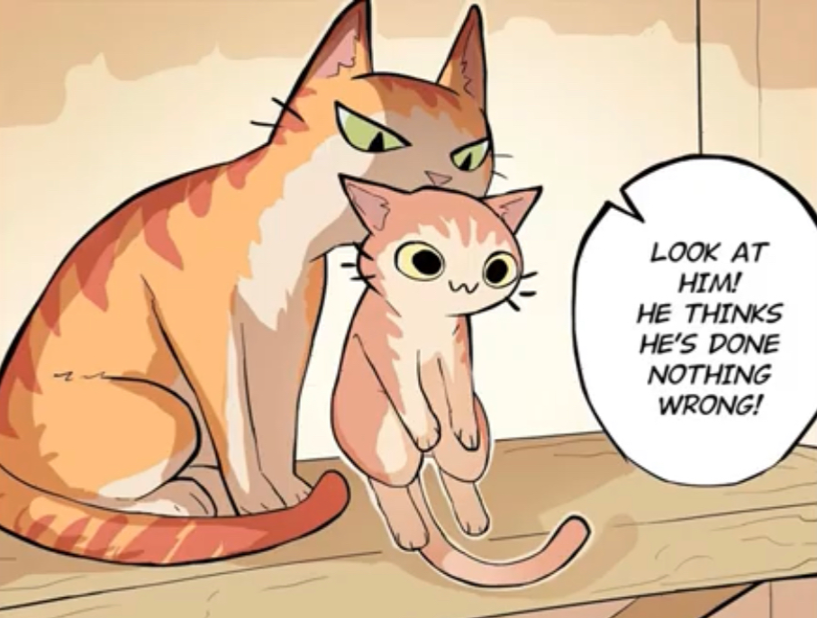 He Thinks He’s Done Nothing Wrong Cat Blank Meme Template