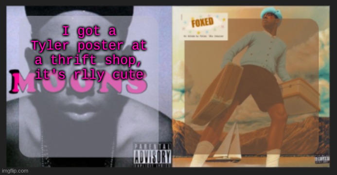 moons and foxed shared temp | I got a Tyler poster at a thrift shop, it's rlly cute | image tagged in moons and foxed shared temp | made w/ Imgflip meme maker