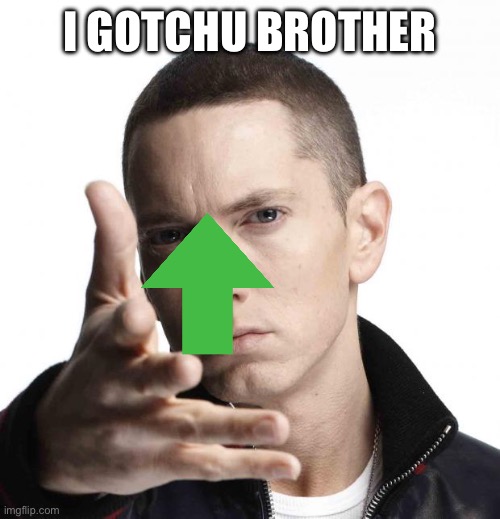 Eminem video game logic | I GOTCHU BROTHER | image tagged in eminem video game logic | made w/ Imgflip meme maker
