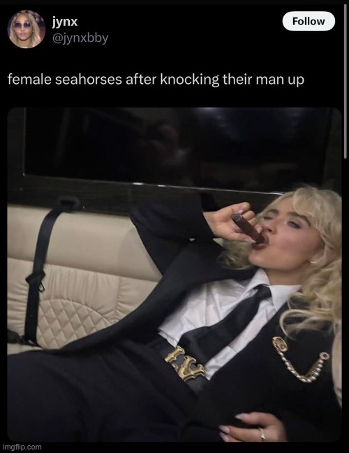 i love seahorse mpreg | made w/ Imgflip meme maker