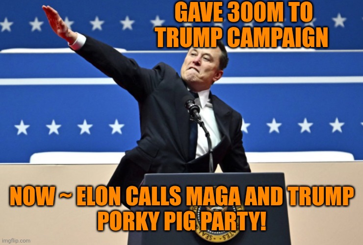 Nazi Elon | GAVE 300M TO TRUMP CAMPAIGN NOW ~ ELON CALLS MAGA AND TRUMP
PORKY PIG PARTY! | image tagged in nazi elon | made w/ Imgflip meme maker