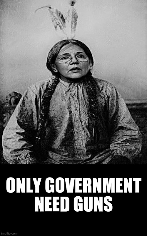 Pokahonky Sayz | ONLY GOVERNMENT NEED GUNS | image tagged in pokahonky sayz | made w/ Imgflip meme maker
