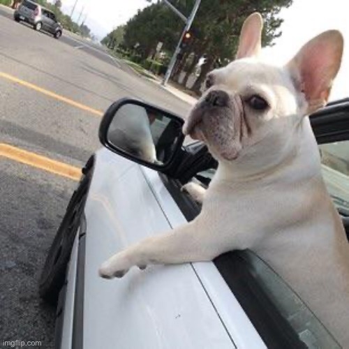 They see me rollin' | image tagged in they see me rollin' | made w/ Imgflip meme maker