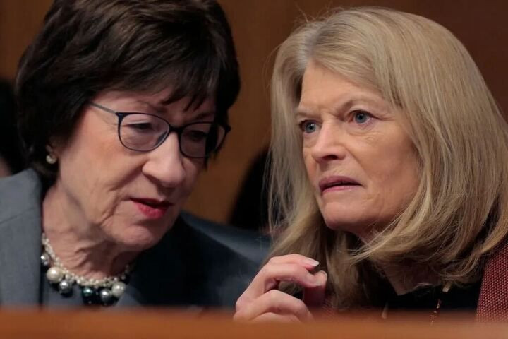 Collins Murkowski Blank Meme Template