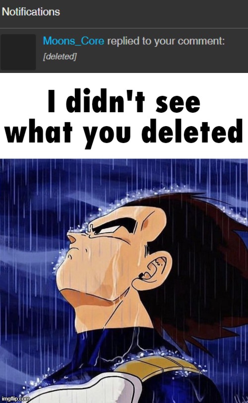 image tagged in i didn't see what you deleted | made w/ Imgflip meme maker