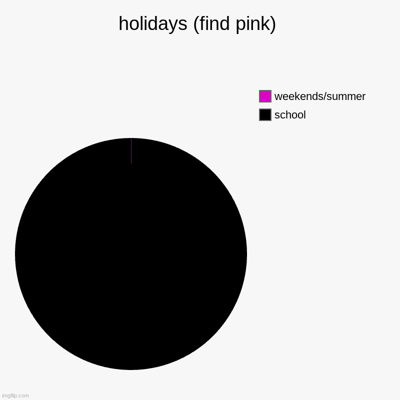 holidays (find pink) | school, weekends/summer | image tagged in charts,pie charts | made w/ Imgflip chart maker