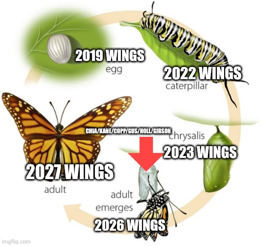 9z33qn.jpg