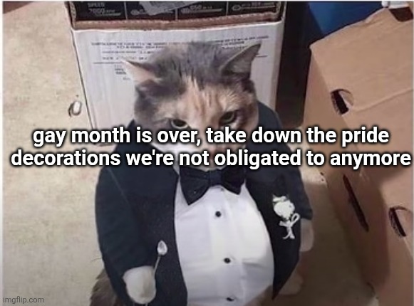 company pov | gay month is over, take down the pride decorations we're not obligated to anymore | image tagged in fancy cat | made w/ Imgflip meme maker