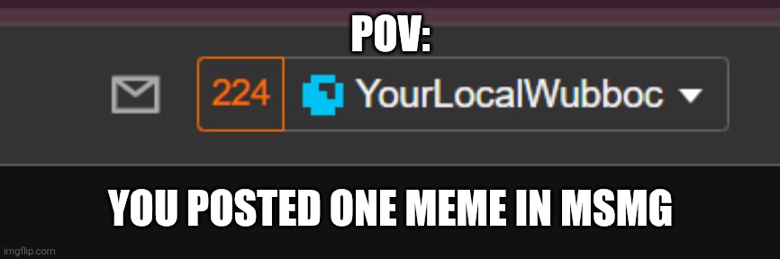 224 Notifications | POV:; YOU POSTED ONE MEME IN MSMG | image tagged in 224 notifications | made w/ Imgflip meme maker