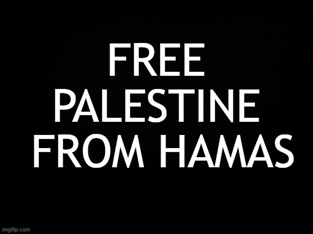 We stand with the Israeli and Palestinian people, not the terrorists | FREE PALESTINE
 FROM HAMAS | image tagged in palestine,ceasefire now,politics | made w/ Imgflip meme maker