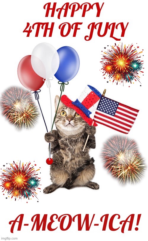 One more time… | image tagged in cats,independence day,4th of july,colorful fireworks | made w/ Imgflip meme maker