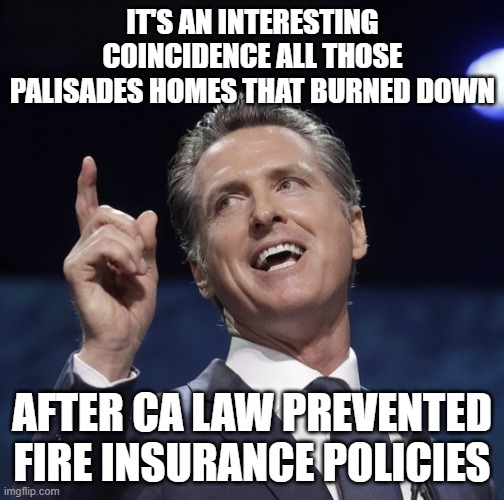 Gavin newsom | IT'S AN INTERESTING COINCIDENCE ALL THOSE PALISADES HOMES THAT BURNED DOWN AFTER CA LAW PREVENTED FIRE INSURANCE POLICIES | image tagged in gavin newsom | made w/ Imgflip meme maker