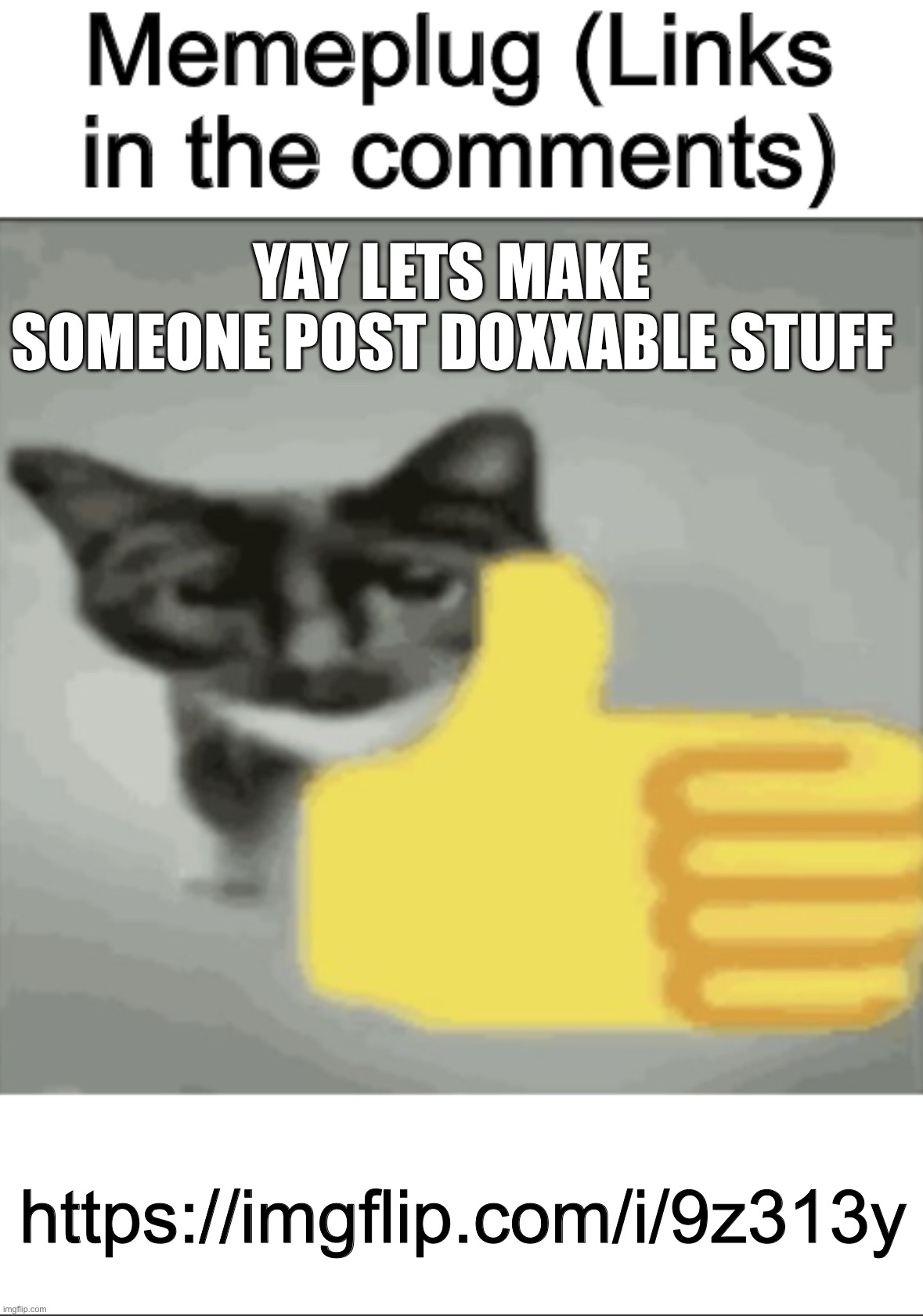 memeplug | YAY LETS MAKE SOMEONE POST DOXXABLE STUFF; https://imgflip.com/i/9z313y | image tagged in memeplug | made w/ Imgflip meme maker
