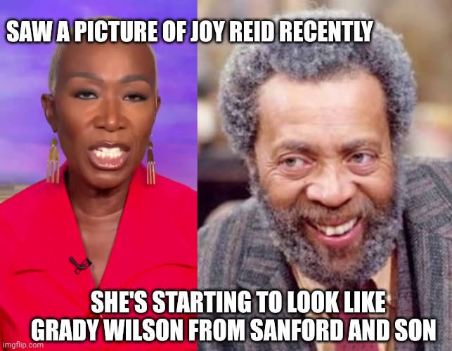 joy Reid meme | SAW A PICTURE OF JOY REID RECENTLY; SHE'S STARTING TO LOOK LIKE GRADY WILSON FROM SANFORD AND SON | image tagged in liberals | made w/ Imgflip meme maker