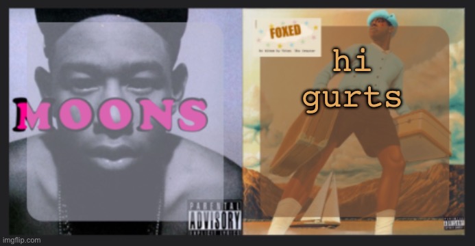 moons and foxed shared temp | hi gurts | image tagged in moons and foxed shared temp | made w/ Imgflip meme maker