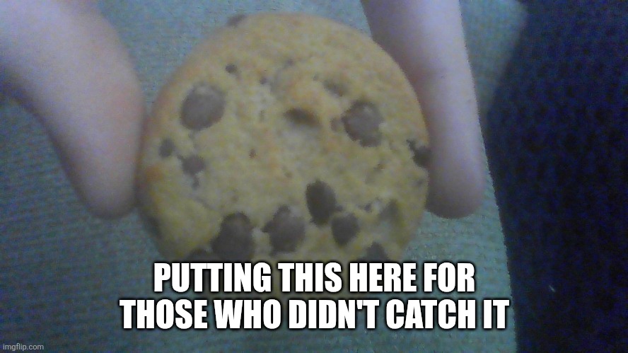 Youtube project yaya | PUTTING THIS HERE FOR THOSE WHO DIDN'T CATCH IT | image tagged in sad cookie | made w/ Imgflip meme maker