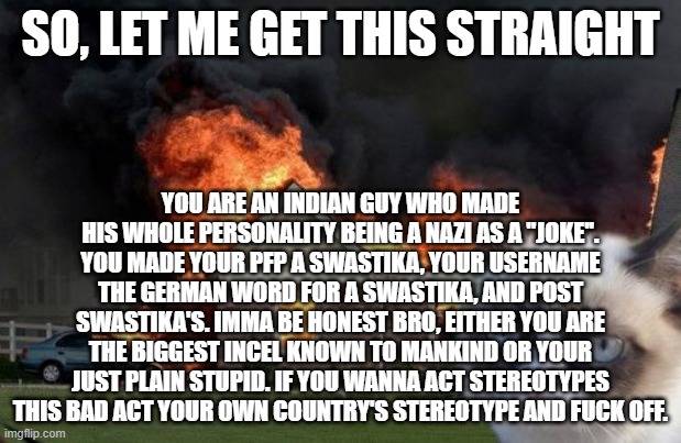 there was no need to post that convo in here, yet you did. did you need someone to re-affirm your little feelings? | SO, LET ME GET THIS STRAIGHT; YOU ARE AN INDIAN GUY WHO MADE HIS WHOLE PERSONALITY BEING A NAZI AS A ''JOKE''. YOU MADE YOUR PFP A SWASTIKA, YOUR USERNAME THE GERMAN WORD FOR A SWASTIKA, AND POST SWASTIKA'S. IMMA BE HONEST BRO, EITHER YOU ARE THE BIGGEST INCEL KNOWN TO MANKIND OR YOUR JUST PLAIN STUPID. IF YOU WANNA ACT STEREOTYPES THIS BAD ACT YOUR OWN COUNTRY'S STEREOTYPE AND FUCK OFF. | image tagged in memes,burn kitty,grumpy cat | made w/ Imgflip meme maker