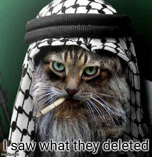 i saw what you deleted | I saw what they deleted | image tagged in i saw what you deleted | made w/ Imgflip meme maker