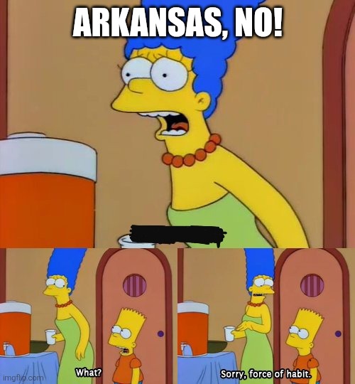 “X! No!” “What?” “Sorry, force of habit.” | ARKANSAS, NO! | image tagged in x no what sorry force of habit | made w/ Imgflip meme maker