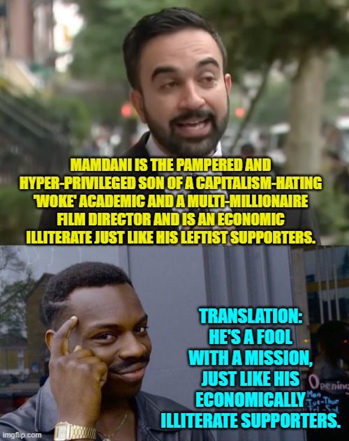 You root out leftism and -- like cancer -- it keeps coming back. | MAMDANI IS THE PAMPERED AND HYPER-PRIVILEGED SON OF A CAPITALISM-HATING 'WOKE' ACADEMIC AND A MULTI-MILLIONAIRE FILM DIRECTOR AND IS AN ECONOMIC ILLITERATE JUST LIKE HIS LEFTIST SUPPORTERS. TRANSLATION: HE'S A FOOL WITH A MISSION, JUST LIKE HIS ECONOMICALLY ILLITERATE SUPPORTERS. | image tagged in roll safe think about it | made w/ Imgflip meme maker