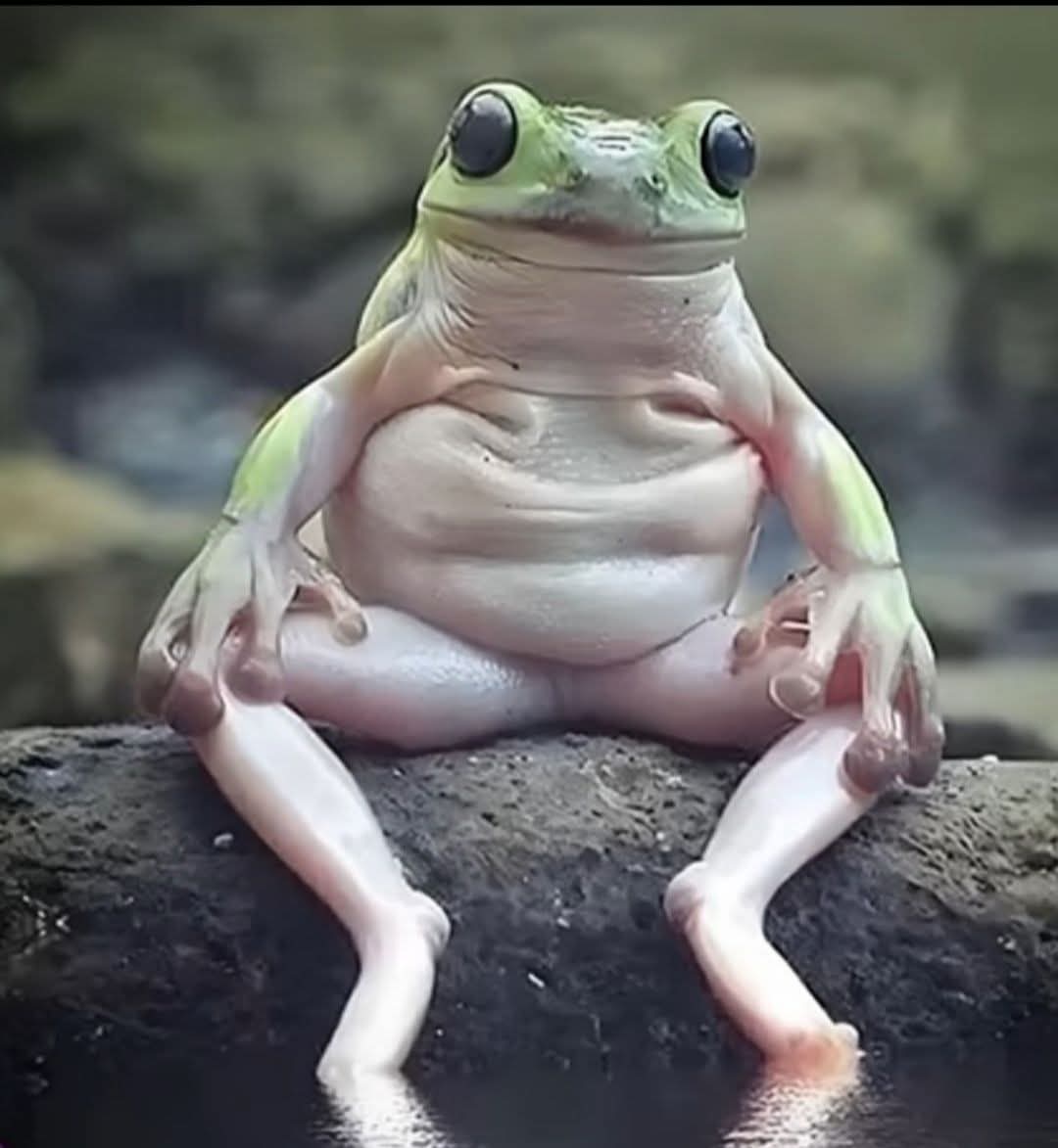 High Quality Depressed frog Blank Meme Template