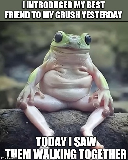 Depressed frog | I INTRODUCED MY BEST FRIEND TO MY CRUSH YESTERDAY; TODAY I SAW THEM WALKING TOGETHER | image tagged in depressed frog | made w/ Imgflip meme maker