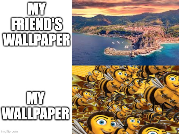According to all known laws of aviation, there is no way a bee should be able to fly. Its wings are too small to get its fat lit | MY FRIEND'S WALLPAPER; MY WALLPAPER | image tagged in funny,wallpapers,memes,funny memes,bee movie | made w/ Imgflip meme maker