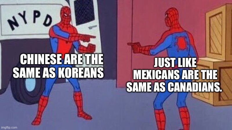 Its all the same | CHINESE ARE THE SAME AS KOREANS; JUST LIKE MEXICANS ARE THE SAME AS CANADIANS. | image tagged in spiderman pointing at spiderman | made w/ Imgflip meme maker