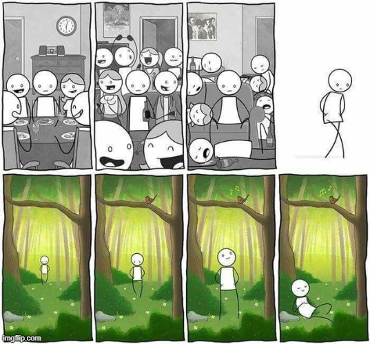 Some random comics that I find relatable as an autistic person | image tagged in social,parties,outdoors,forest,bird,relaxed | made w/ Imgflip meme maker