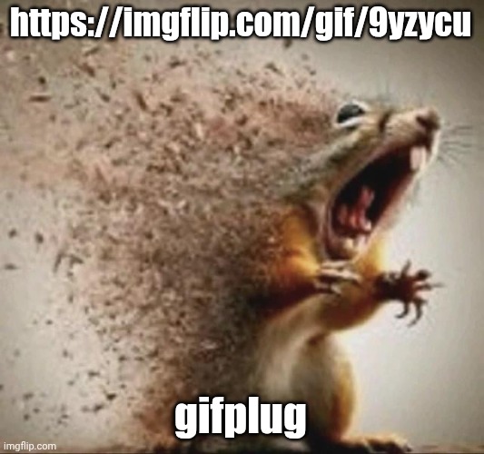 https://imgflip.com/gif/9yzycu | https://imgflip.com/gif/9yzycu; gifplug | image tagged in badass squirrel disintegrating | made w/ Imgflip meme maker