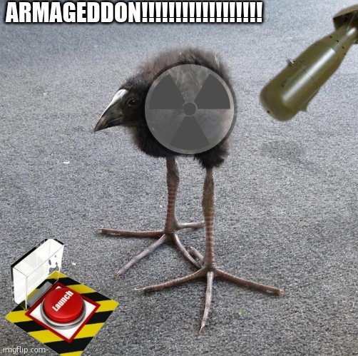 . | ARMAGEDDON!!!!!!!!!!!!!!!!!! | image tagged in pukeko chick | made w/ Imgflip meme maker