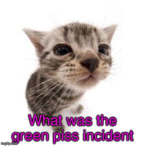 El gatito | What was the green piss incident | image tagged in el gatito | made w/ Imgflip meme maker