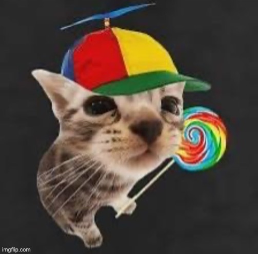 El gatito | image tagged in el gatito | made w/ Imgflip meme maker