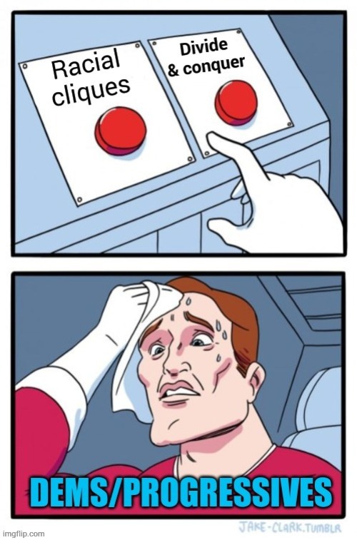 Two Buttons DEI | image tagged in memes,two buttons,dei,racial cliques,divide and conquer,dems/progressives | made w/ Imgflip meme maker