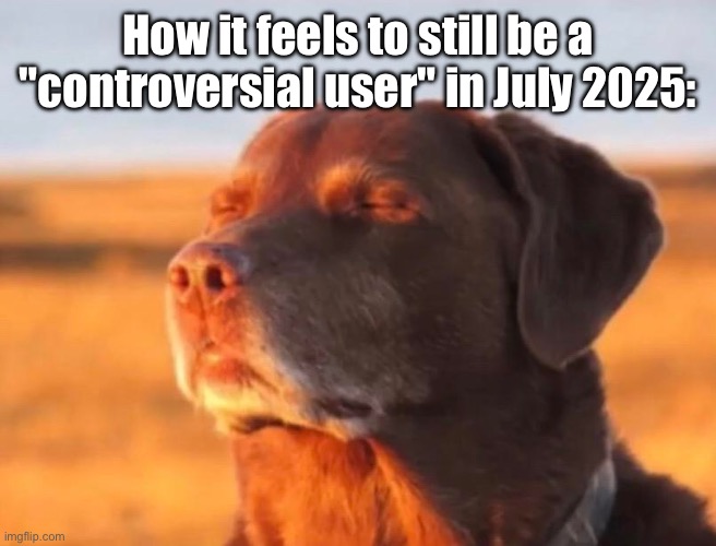 Dog accepting fate | How it feels to still be a "controversial user" in July 2025: | image tagged in dog accepting fate | made w/ Imgflip meme maker