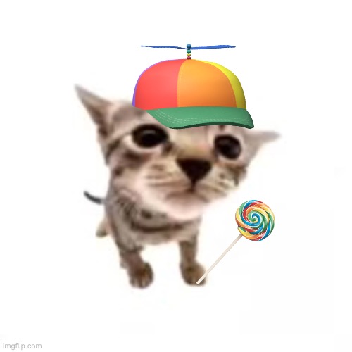 El gatito | image tagged in el gatito | made w/ Imgflip meme maker