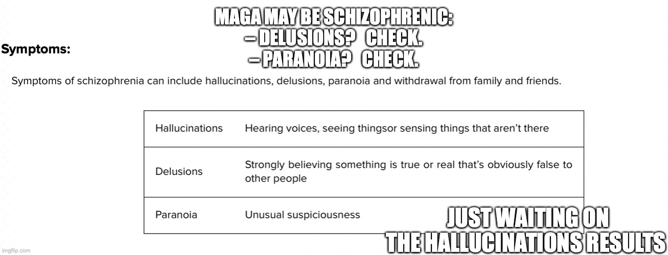 MAGA is schizophrenic | MAGA MAY BE SCHIZOPHRENIC:
– DELUSIONS?   CHECK.
– PARANOIA?   CHECK. JUST WAITING ON THE HALLUCINATIONS RESULTS | image tagged in donald trump,republicans,conservatives,maga,right wing,schizophrenic | made w/ Imgflip meme maker