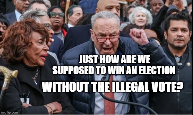 Democrats can win elections without the illegals vote | JUST HOW ARE WE SUPPOSED TO WIN AN ELECTION; WITHOUT THE ILLEGAL VOTE? | image tagged in schumer raskin waters want their money,illegal immigration | made w/ Imgflip meme maker